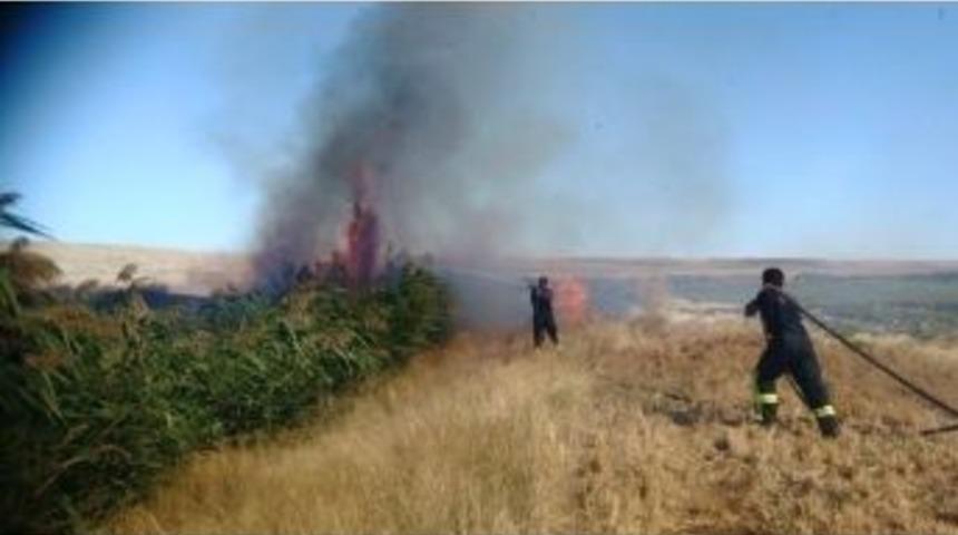 Konya&rsquo;da Anız Ve Sazlık Alan Yangın