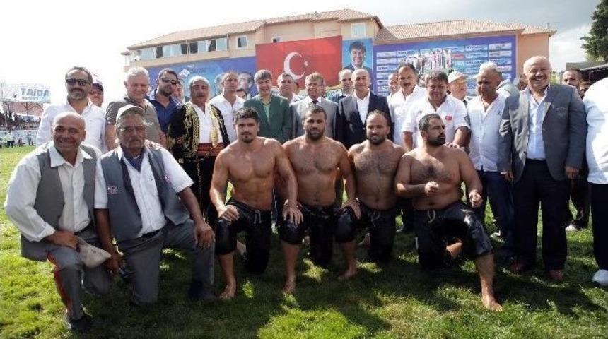 663. Elmalı Yeşilyayla Yağlı G&uuml;reşleri Başlıyor