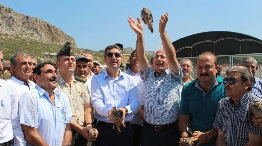 Ceyhan&rsquo;da 500 Keklik Doğayla Buluştu