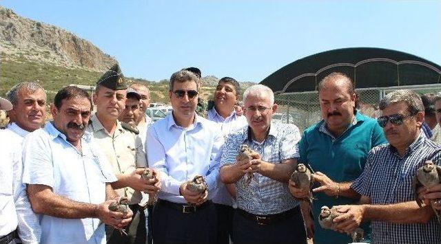 Ceyhan&rsquo;da 500 Keklik Doğayla Buluştu 1