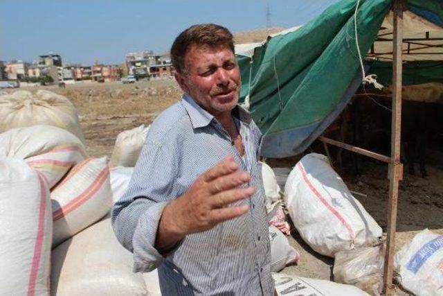 İzmir de Kurbanlık Satış Yeri Gerginliği 1