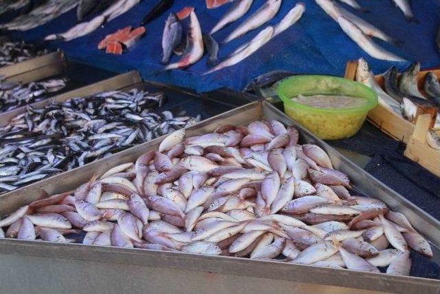 Bilecikli Balık&ccedil;ı Esnafı Umutlu 1