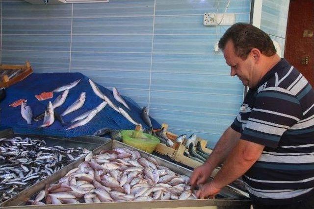 Bilecikli Balık&ccedil;ı Esnafı Umutlu 2