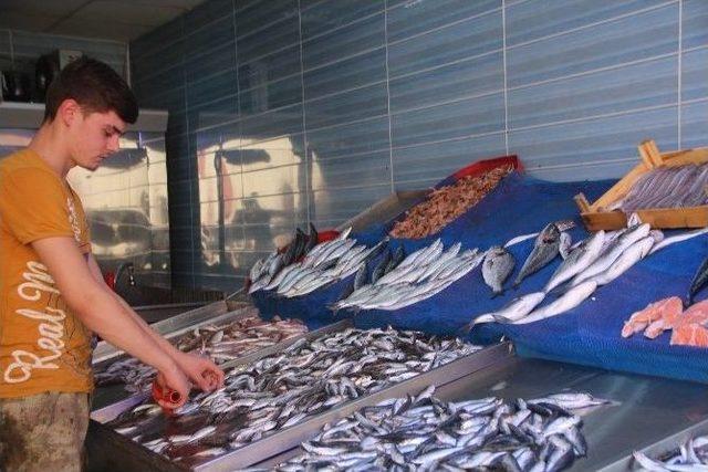 Bilecikli Balık&ccedil;ı Esnafı Umutlu 3