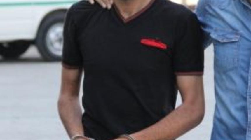 31 Paket Bonzai İle Yakalandı