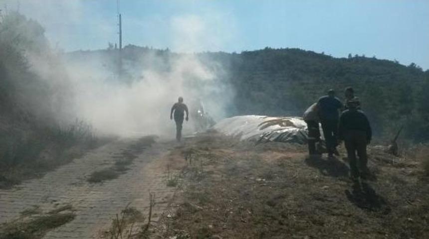 Yatağan'da Orman Yangını