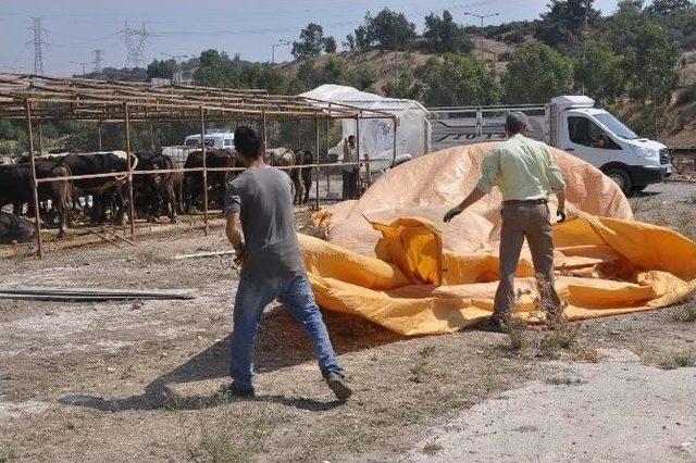 İzmir’de Kurbanlık Alan Gerginliği