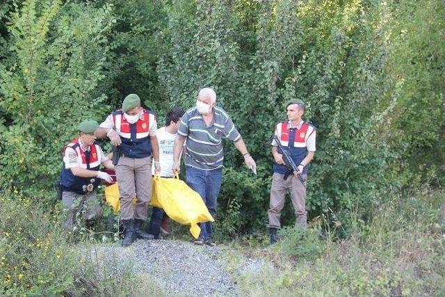 Bartın&rsquo;da Ormanlık Alanda Erkek Cesedi Bulundu 1