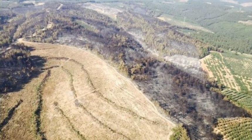 Bakan M&uuml;ezzinoğlu, Mudanya&rsquo;daki Ormanlık Alanın Yeniden Canlandırılacağını A&ccedil;ıkladı