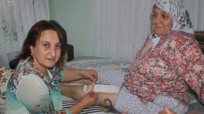 İbsha Dertlere Derman Olmaya Devam Ediyor