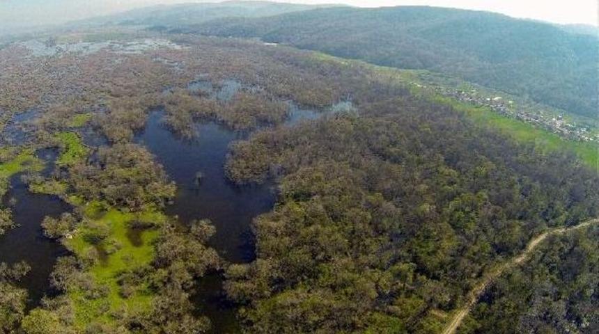 Marmara&rsquo;Nın Saklı G&uuml;zelliği; Karacabey Longozu