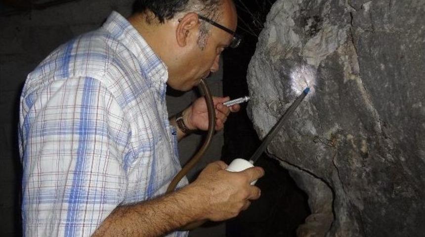 Antalya’da Şark Çıbanı Vakalarıyla Mücadele Çalışmaları