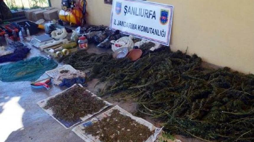 Ceylanpınar'da Uyuşturucu Operasyonu