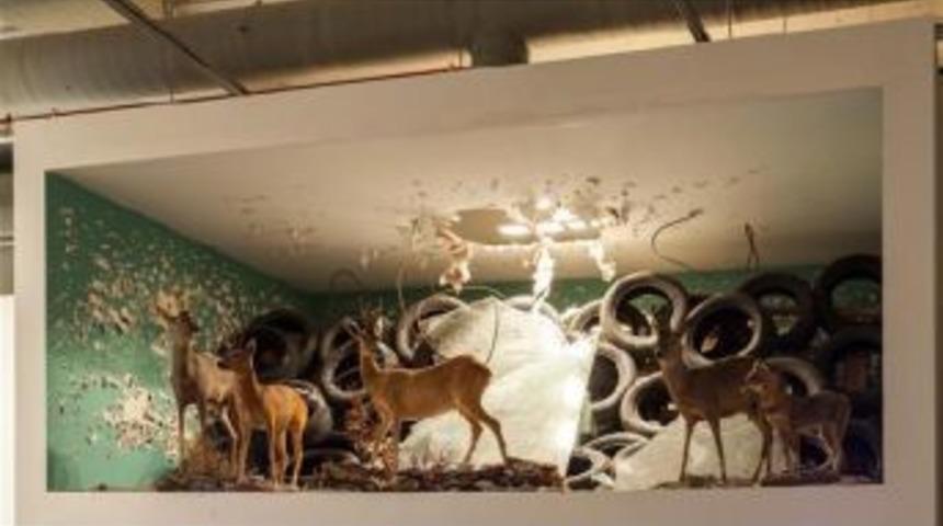 A City-Wide Exhibition For Everyone: 14Th Istanbul Biennial