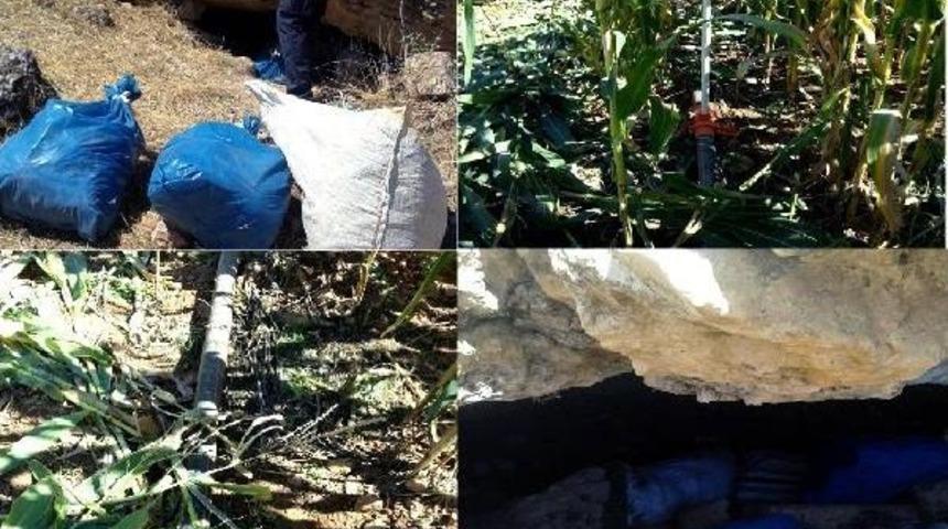 Diyarbakır'da: 400 Kilo Esrar Ve Silahlar Ele Ge&ccedil;irildi