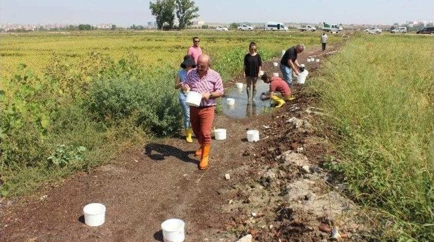 Edirne&rsquo;de Sivrisineklerle &rsquo;alman Usul&uuml;&rsquo; M&uuml;cadele