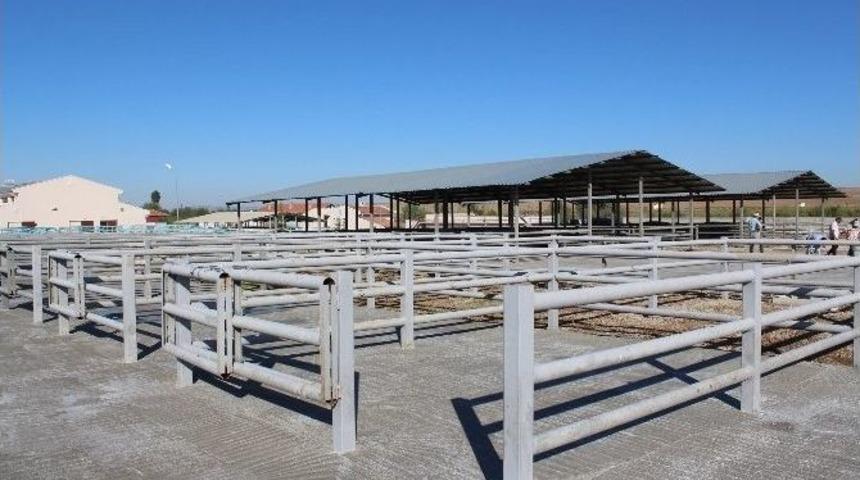 Sungurlu&rsquo;ya Yeni Hayvan Pazarı Yapılıyor