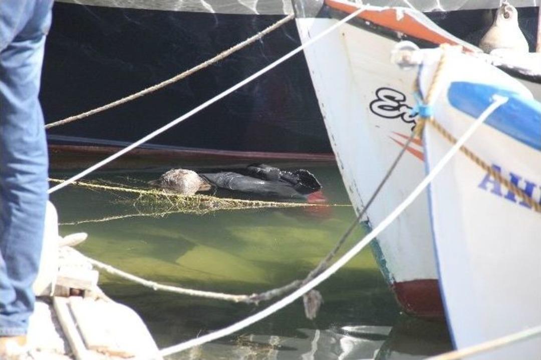 Doğum G&uuml;n&uuml;nde Denizde Cesedi Bulundu