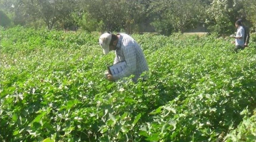 Amik Ovası Risk Altında