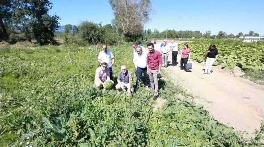 İl Genel Meclis &Uuml;yeleri Bebek Meyve Ormanını Ziyaret Etti