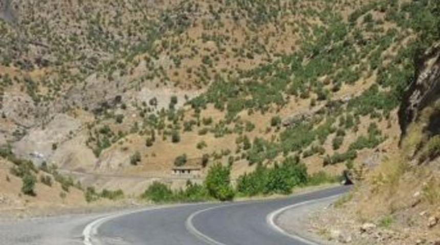 Şırnak&rsquo;ta Yola D&ouml;şenen Bomba İmha Edildi