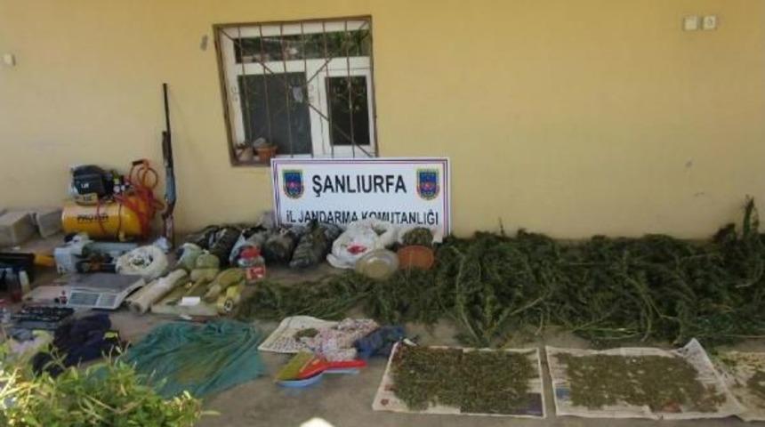 Şanlıurfa'da Esrar Ve Ka&ccedil;ak Sigara Operasyonu