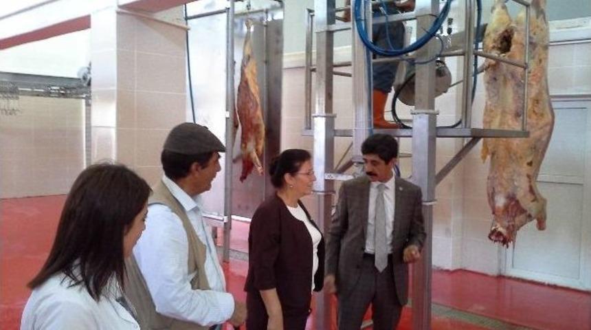 Ağrı Belediyesi Mezbahanesinde Kesimler Başladı