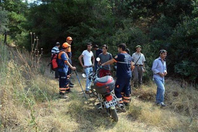 İncir Toplamaya Gitti, Kayıp Olarak Aranıyor