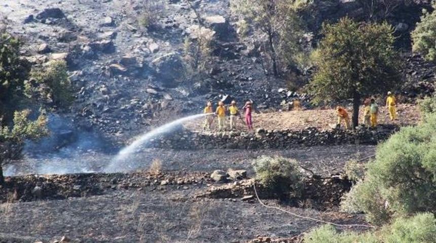 Anız Ateşi Tarım Arazileri Ve Ormanı Yaktı