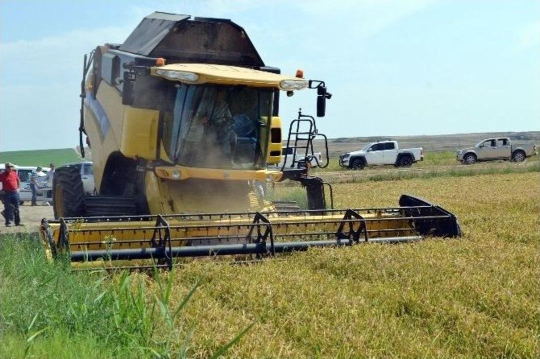 &Ccedil;eltik Diyarı İpsala&rsquo;da Hasat Dualarla Başladı