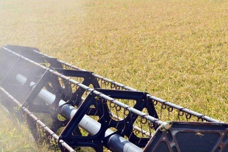 Çeltik Diyarı İpsala’da Hasat Dualarla Başladı G5