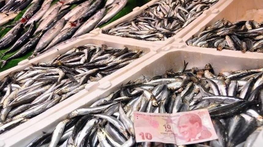 Balıkçılar Denizden Umduğunu Bulamadı