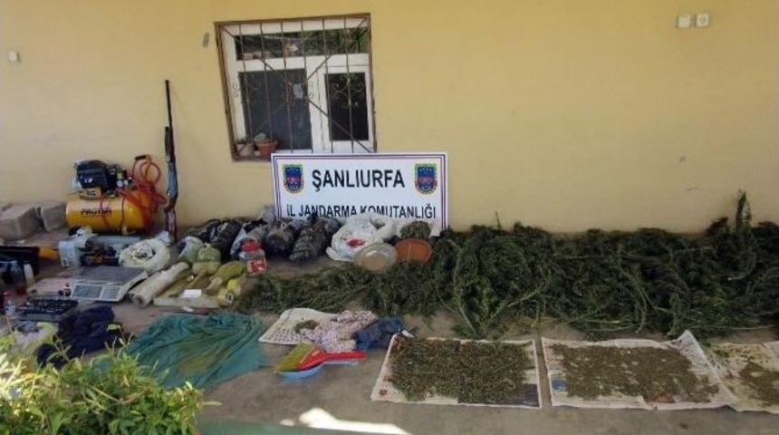 Şanlıurfa&rsquo;da Ka&ccedil;ak Sigara Ve Esrar Operasyonu