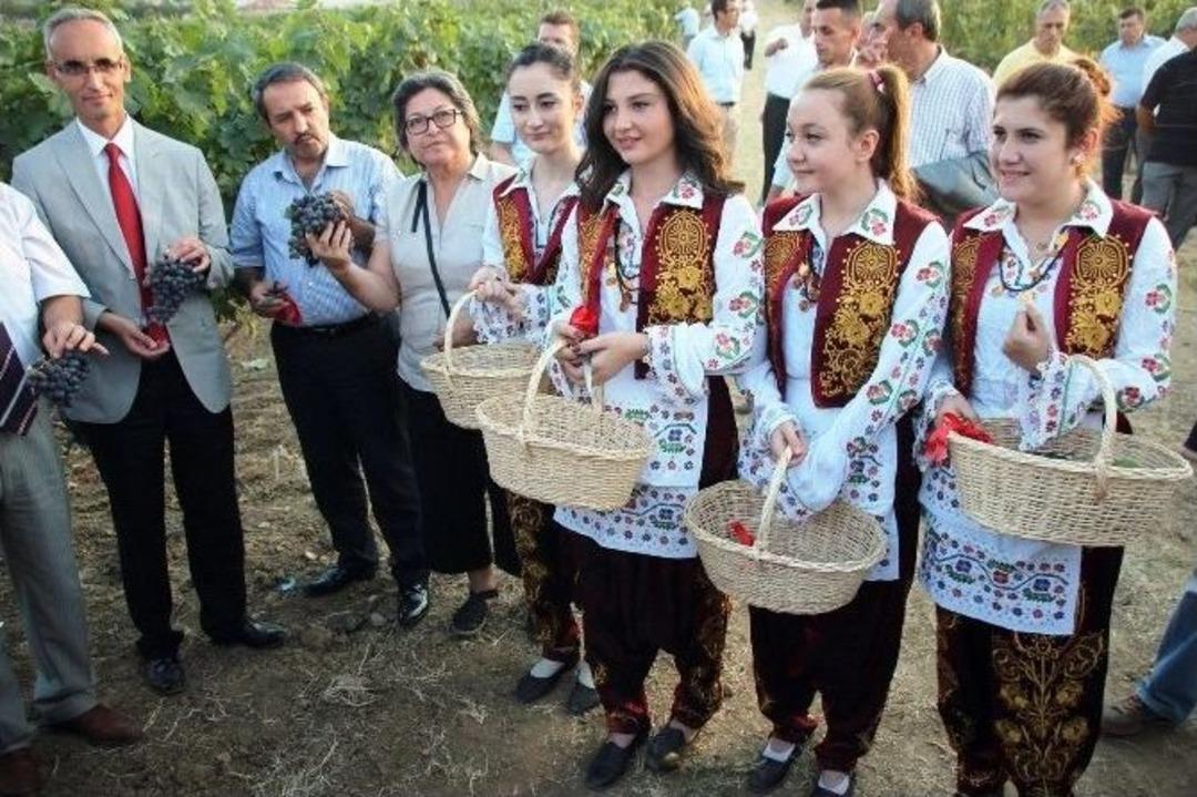 T&uuml;rkiye Asma Genetik Kaynakları Projesinin 50. Yılı