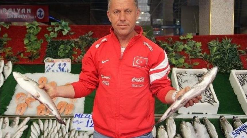 Balık Sezonu A&ccedil;ıldı Hamsinin Kilosu 10 Tl Oldu