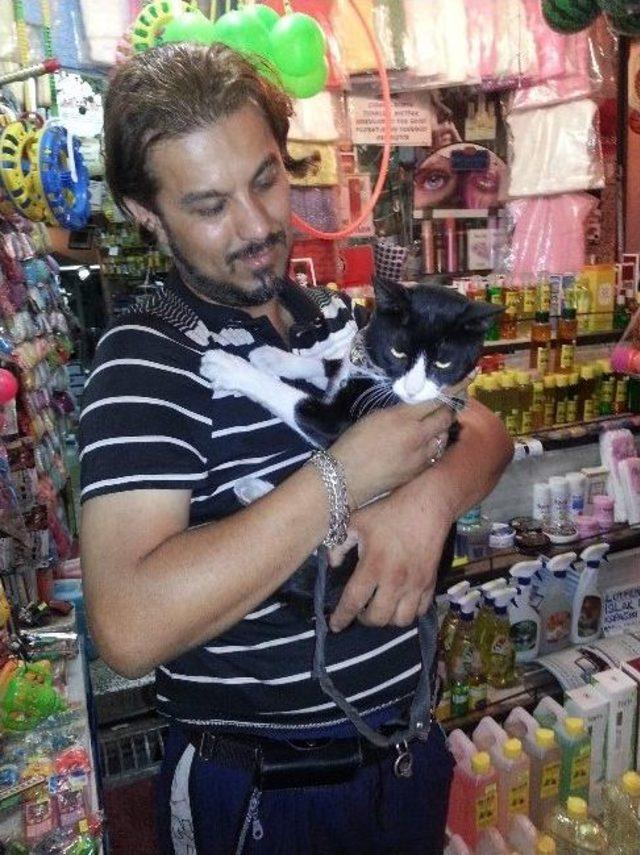 Bu Kedi G&ouml;zl&uuml;k Takıyor 1