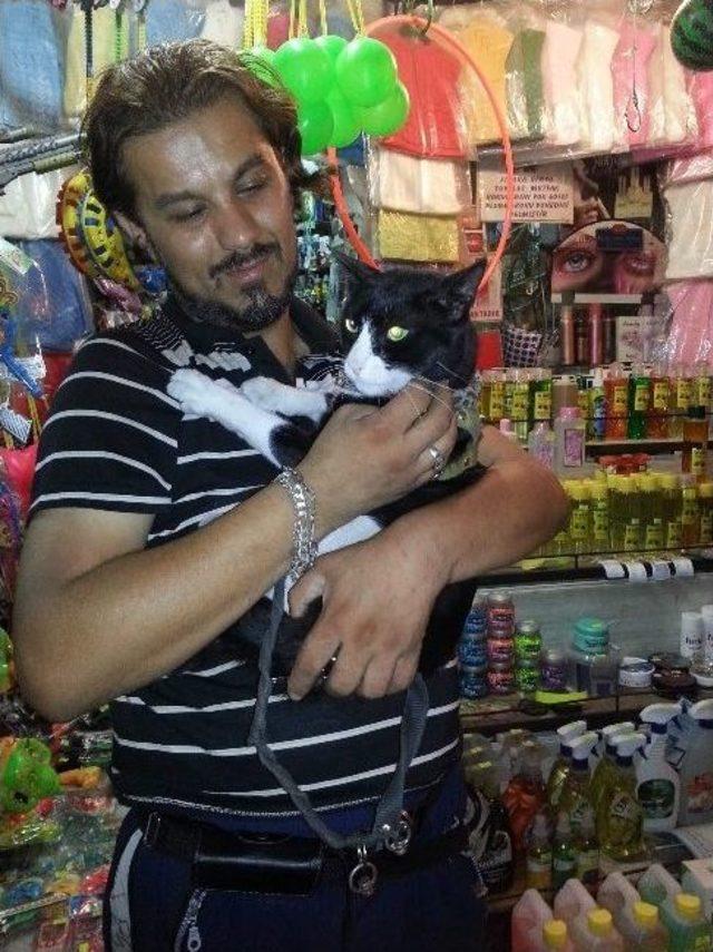 Bu Kedi G&ouml;zl&uuml;k Takıyor 2