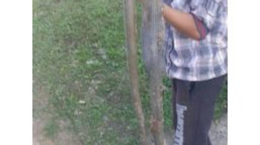 Ordu&rsquo;da 13 Yaşındaki &Ccedil;ocuk 2 Metrelik Yılanı &Ouml;ld&uuml;rd&uuml;