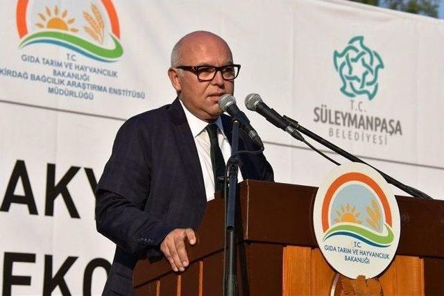 Trakya Bağ Bozumu Ve Ekoloji Festivali Tekirdağ’da Başladı 1