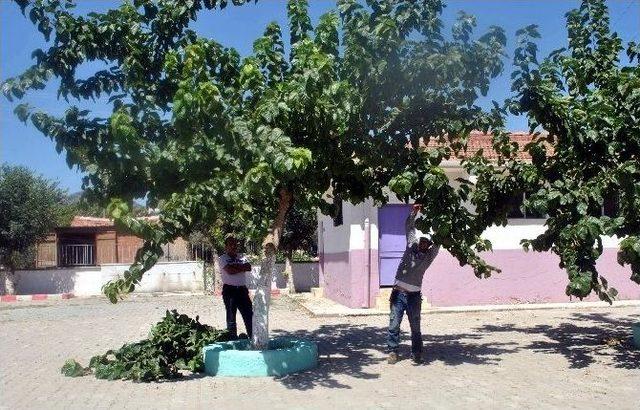 İncirliova’da Okullar Öğrencilere Hazırlanıyor