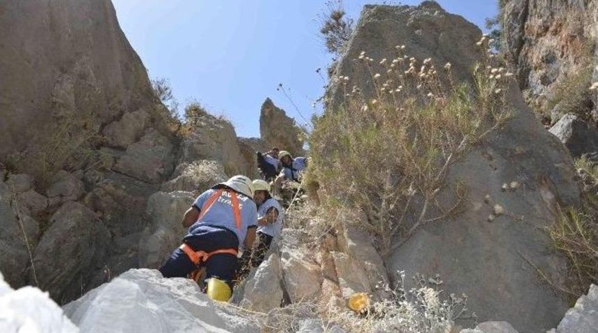 6 G&uuml;n Boyunca A&ccedil; Susuz Kalan Oğlaklar Kurtarıldı