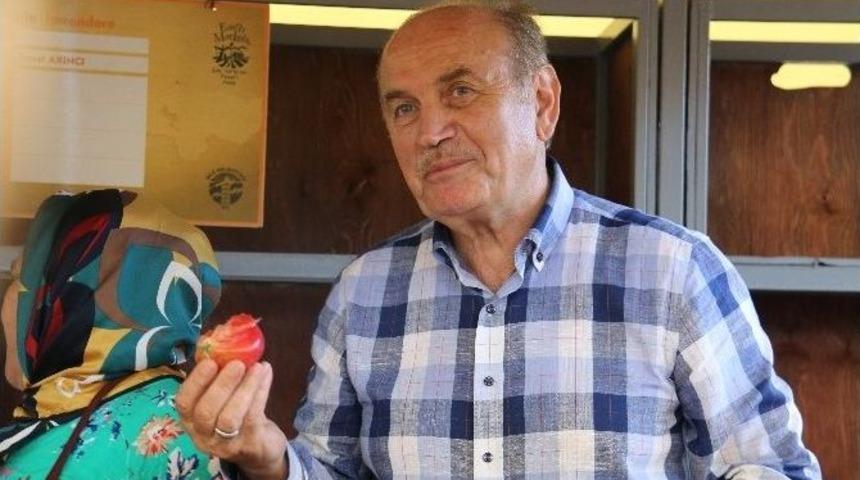 İstanbul&rsquo;a 6 Yeni Otogar