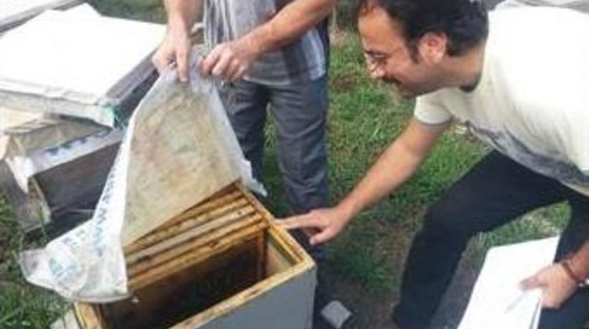 Arılı Kovan Destekleme &Ccedil;alışmaları Devam Ediyor