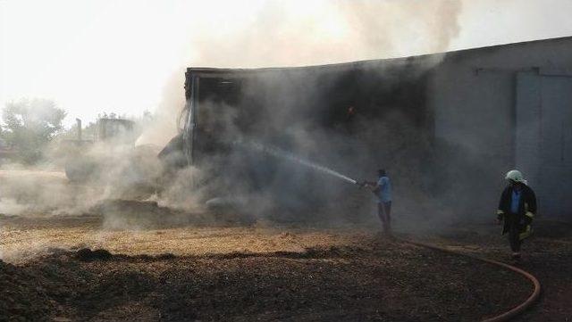 5 Bin Balya Saman Alev Alev Yandı 1