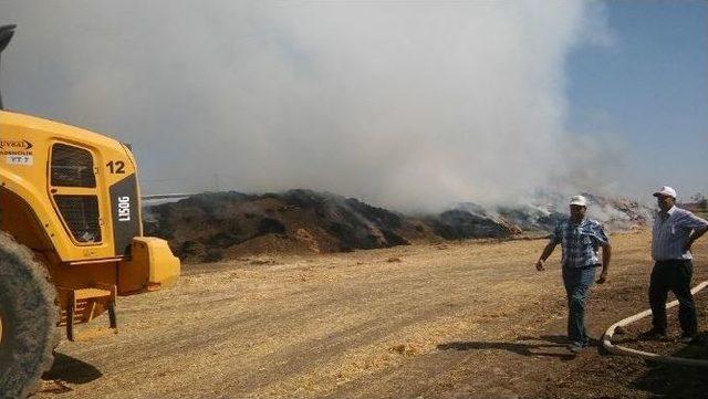 5 Bin Balya Saman Alev Alev Yandı 2