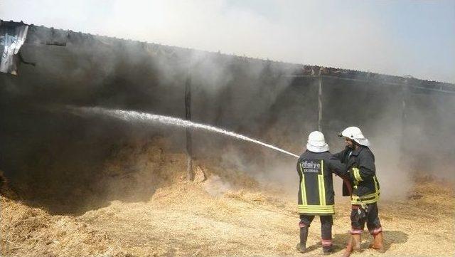 5 Bin Balya Saman Alev Alev Yandı 3