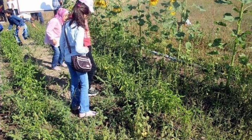 Kayserili Yetimler Suriyeli Yetimlere Sahip &Ccedil;ıktı