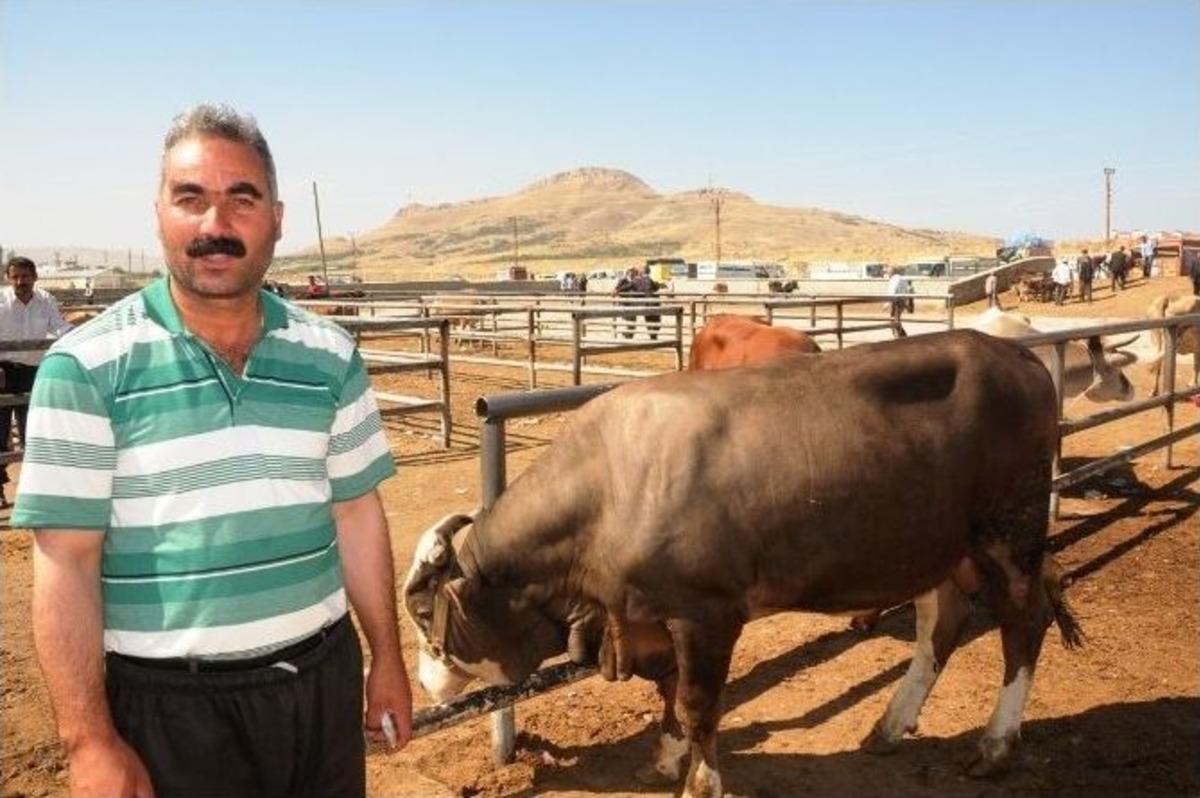 Van&rsquo;da Kurbanlıklar G&ouml;r&uuml;c&uuml;ye &Ccedil;ıktı