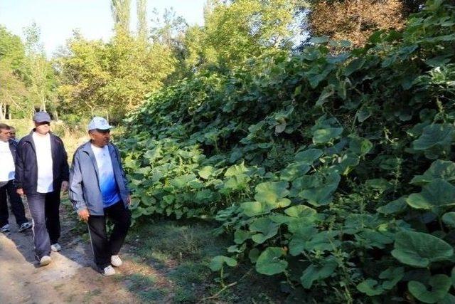 Koramaz Vadisi’nde Sabah Sporu Ve Doğa Yürüyüşü