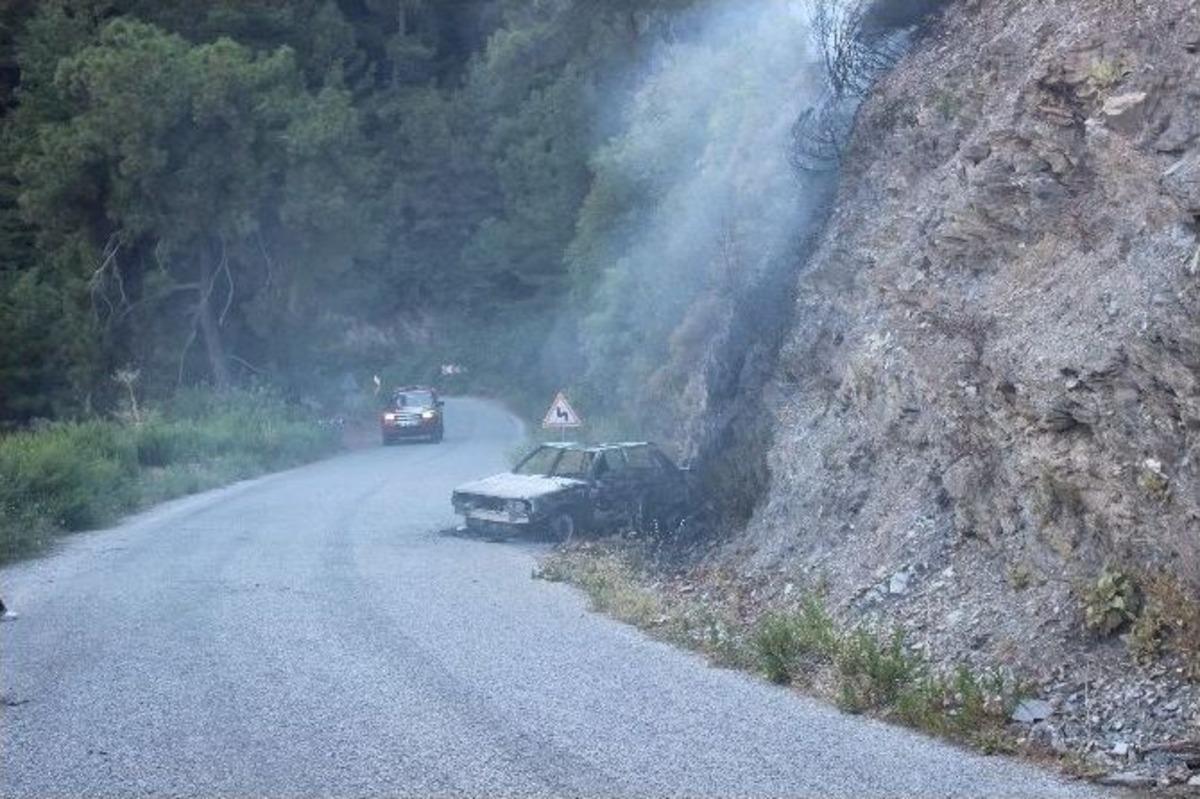 Seyir Halindeki Otomobilde Başlayan Yangın Ormana Sı&ccedil;radı